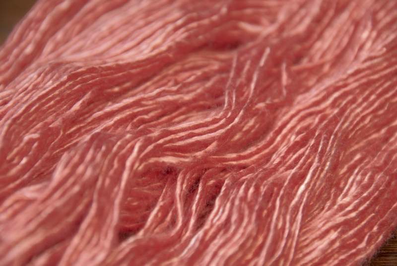 Tao - Dali Shade - Lobster Pinch Tao - Dali Shade - Lobster Pinch